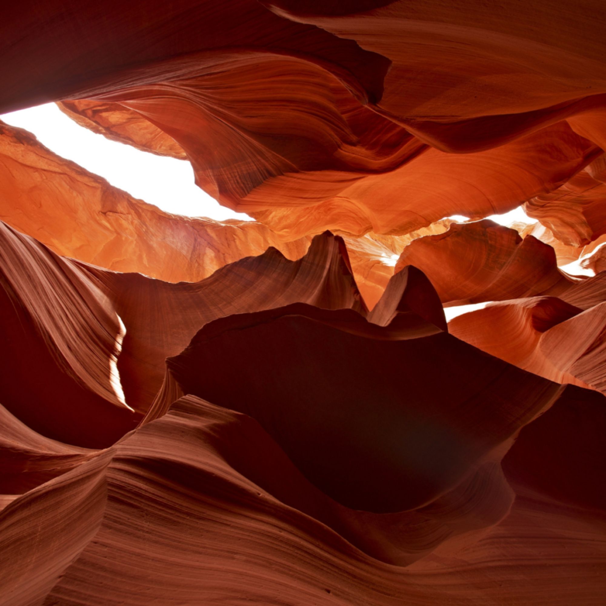 Light shining through a winding sandstone canyon, symbolizing how clarity, insight, and guidance can reveal new paths forward through complex challenges and help organizations make confident decisions.
