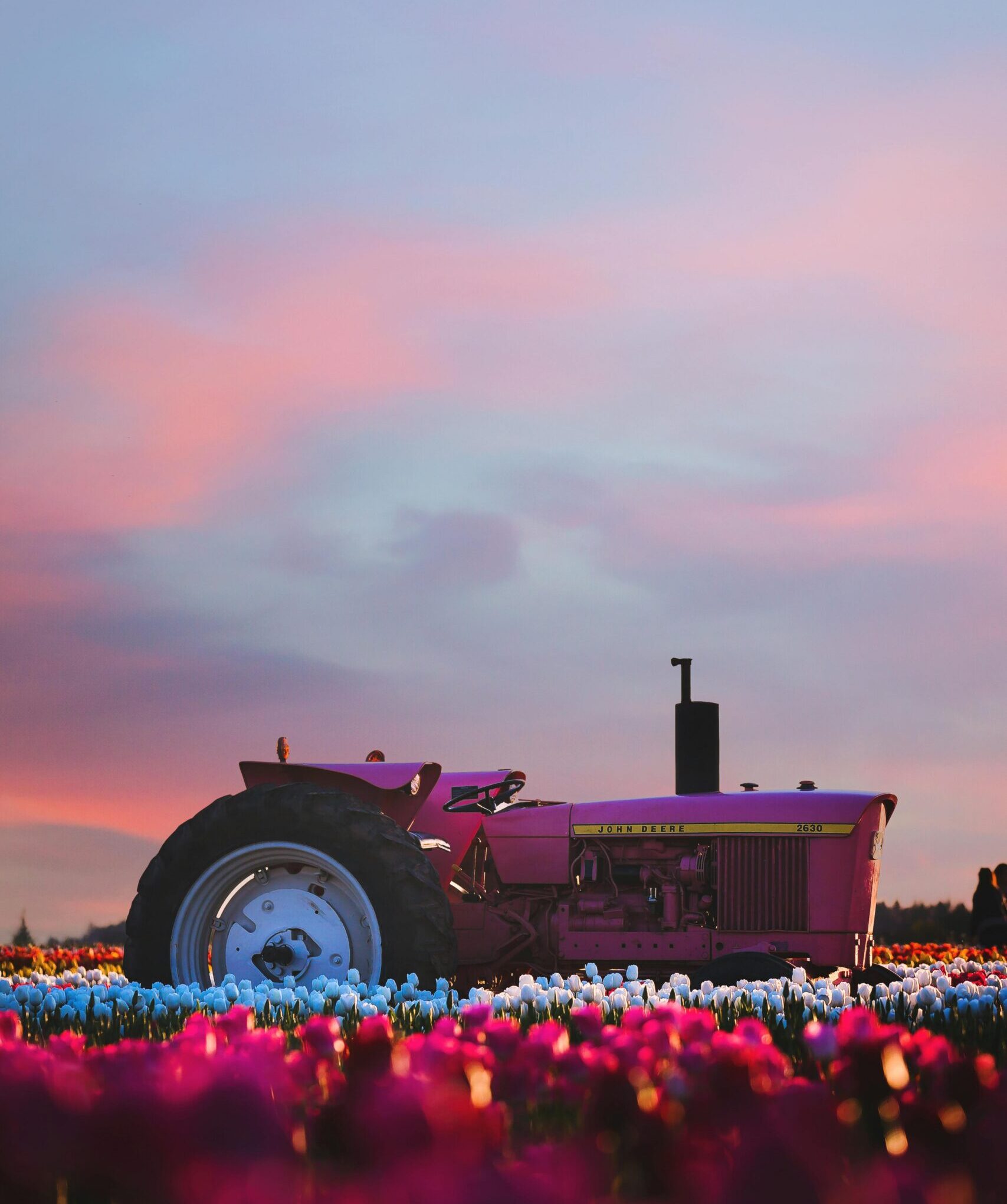 Tractor parked among colorful flower fields beneath a pink and blue sunset sky.