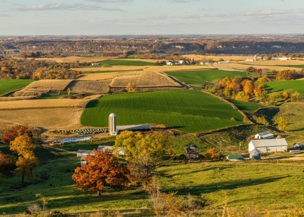 minnesota rhtp image farm