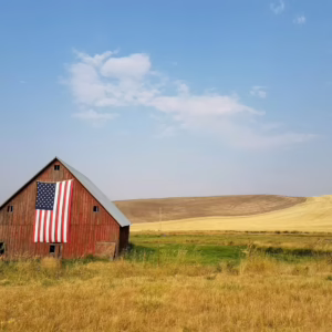 Rural Health Transformation Program financial stability barn in plains