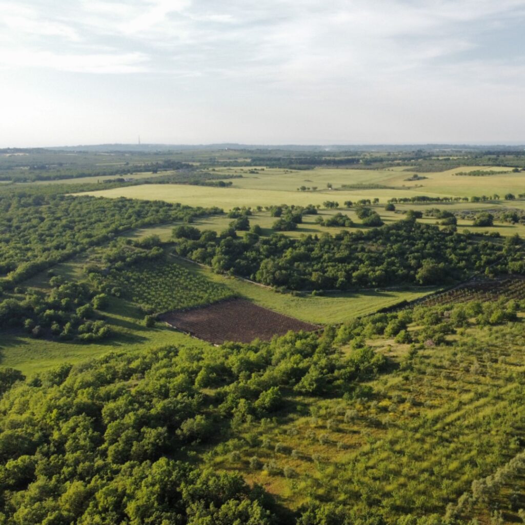 A sweeping aerial view of rural farmland and open green space, representing the communities and hospitals REDi Health serves through data-driven strategies that strengthen financial stability and support better patient care.