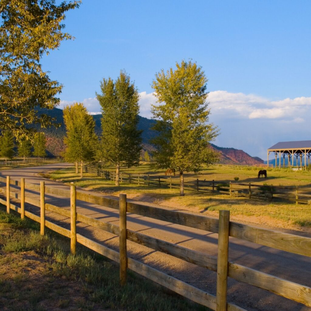 Country road lined with wooden fences and trees, with open pastureland and mountains in the distance, representing the rural communities served by local healthcare providers.