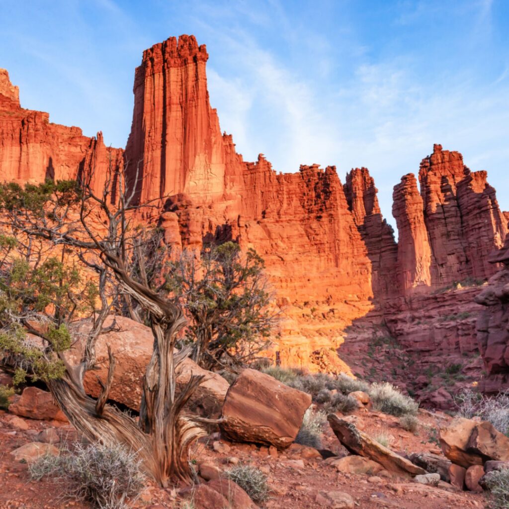 Red rock cliffs and desert landscape under a blue sky, reflecting the rugged terrain and remote regions where many rural communities live and receive care.