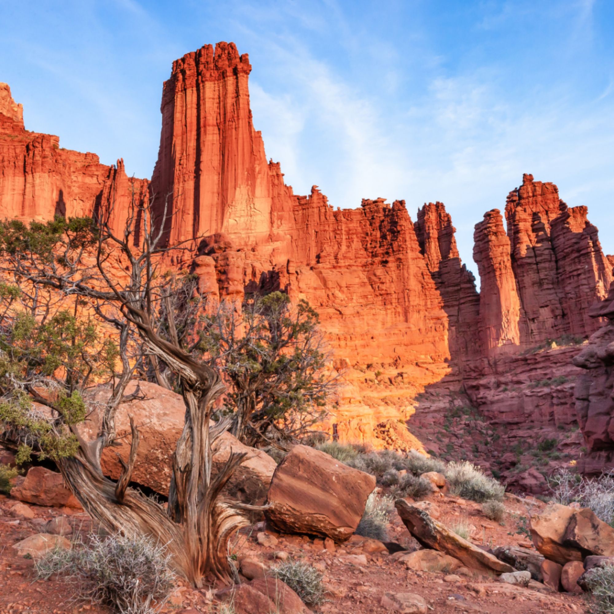 Red rock cliffs and desert landscape under a blue sky, reflecting the rugged terrain and remote regions where many rural communities live and receive care.