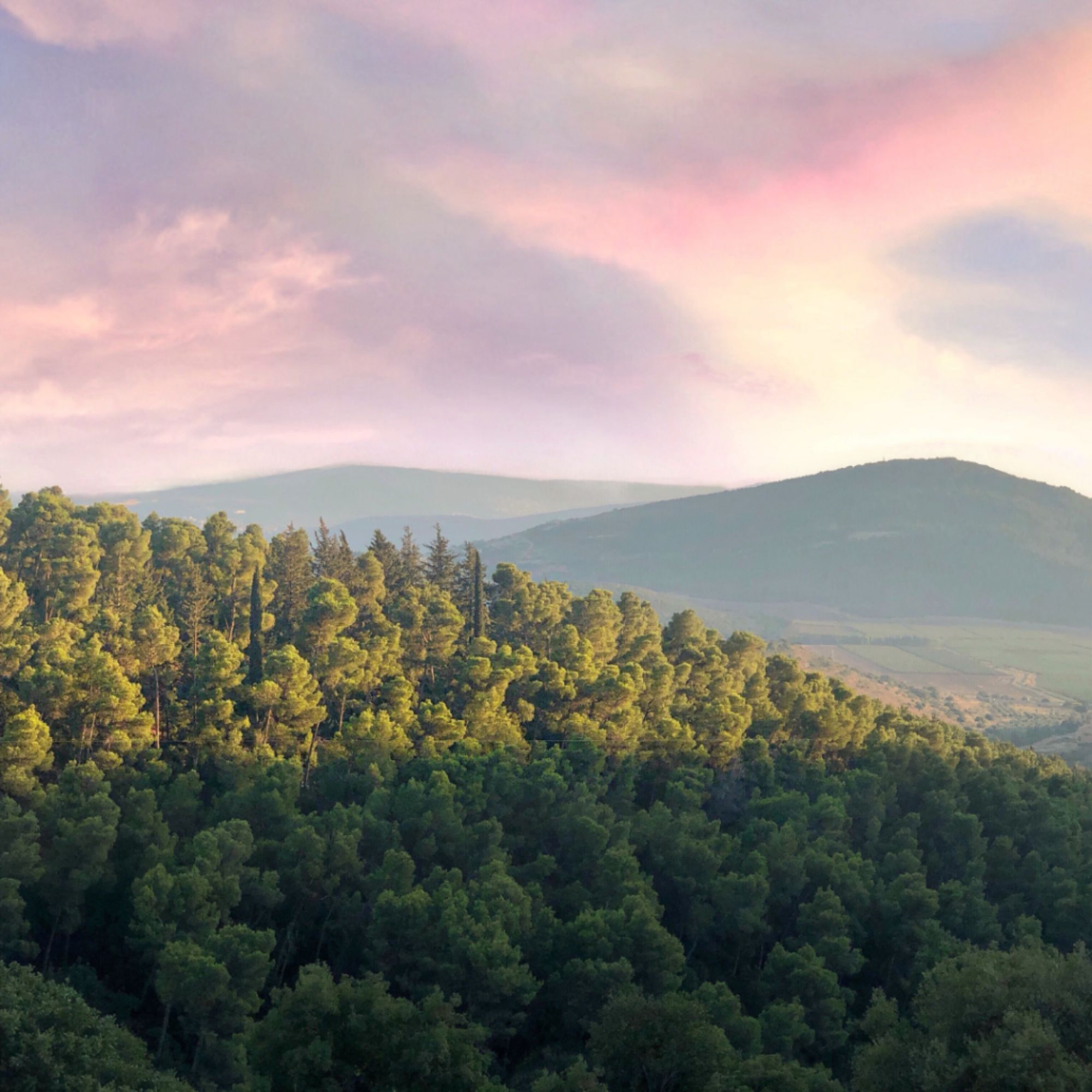 A peaceful forest landscape stretching across rolling hills at sunset, reflecting the strength, resilience, and long-term sustainability that help rural healthcare organizations thrive and continue serving their communities.