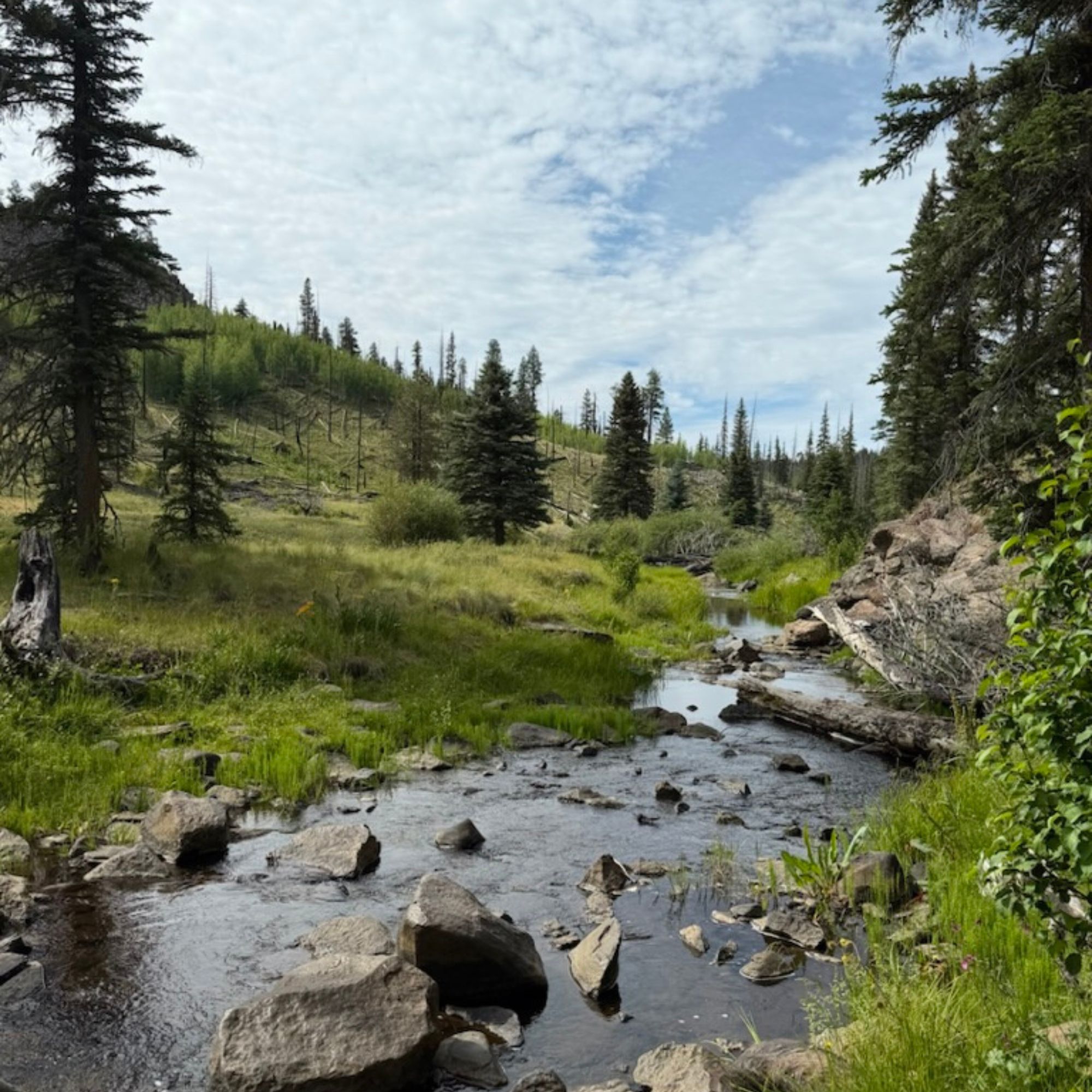 A serene green mountain landscape with a wide river flowing through the middle.