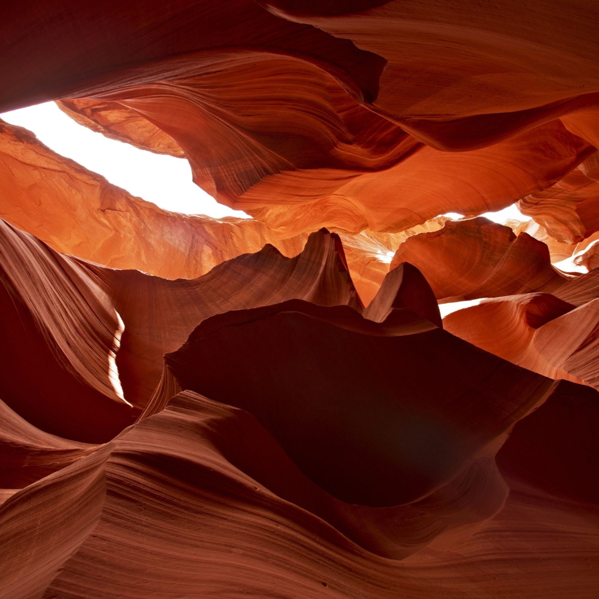 A upward view of a slot canyon in a rural desert landscape.