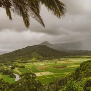 A wide landscape photo of rural Hawaii.