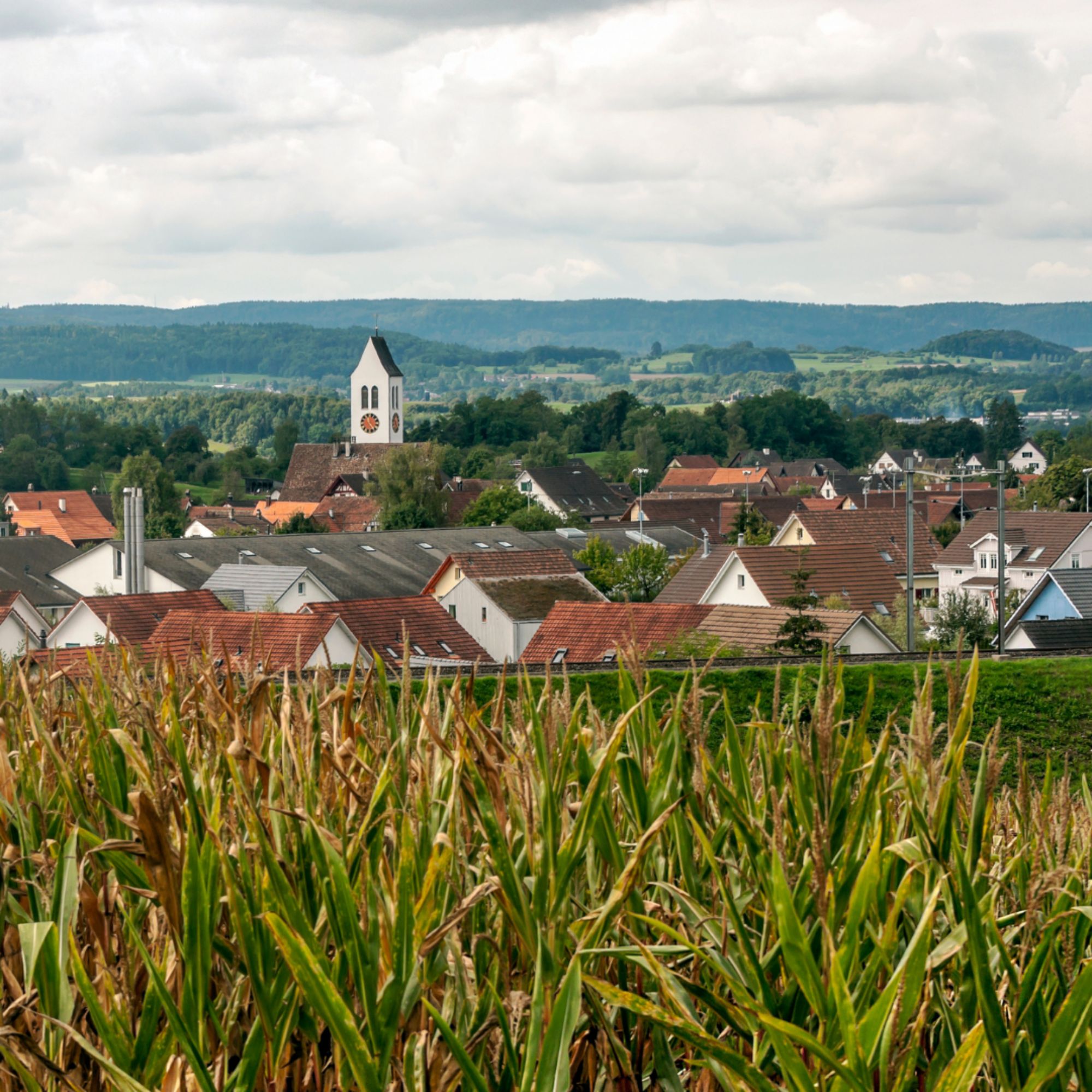 Rural community surrounded by farmland, with cornfields in the foreground, homes and a church steeple beneath a cloudy sky.