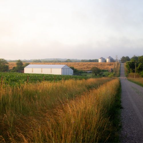 A long dirt road with grassy plains, in rural Illinois.