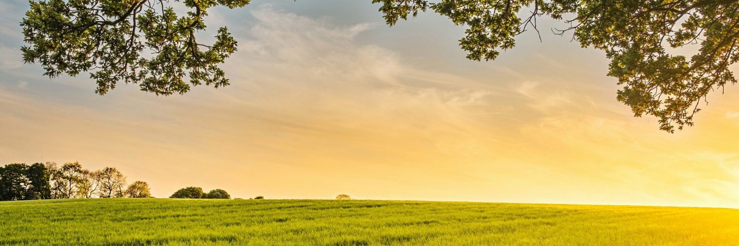 benjamin-davies-Zm2n2O7Fph4-unsplash