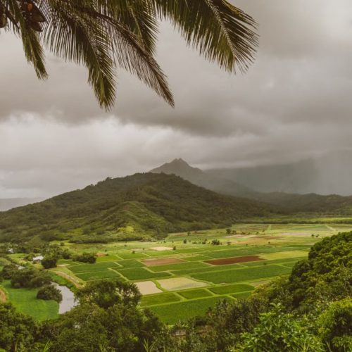 A wide landscape photo of rural Hawaii.